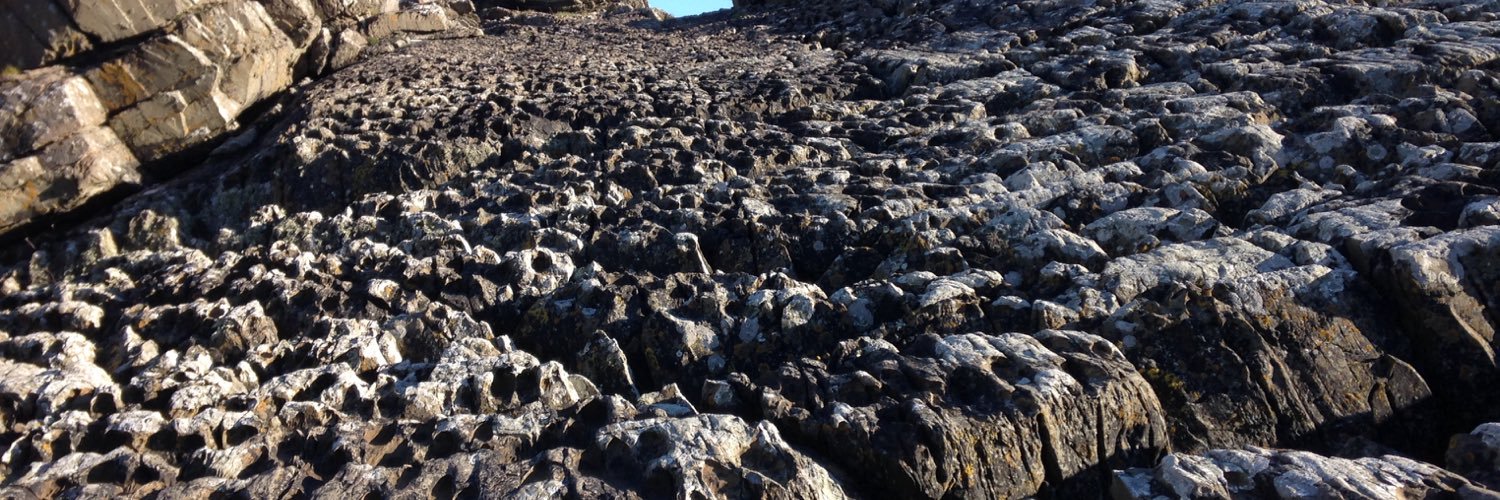 Hywel Williams banner