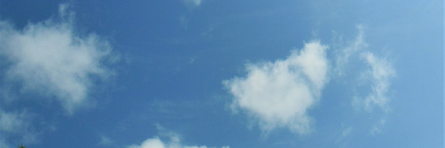 timescout's profile banner image