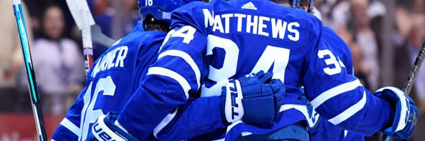 LeafFanSteve's profile banner image
