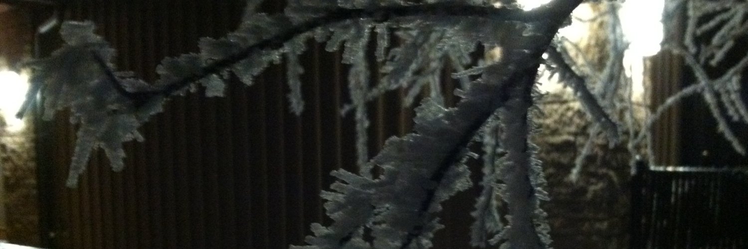 creswellm's profile banner image