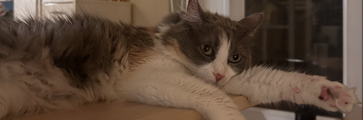 eidyllion's profile banner image