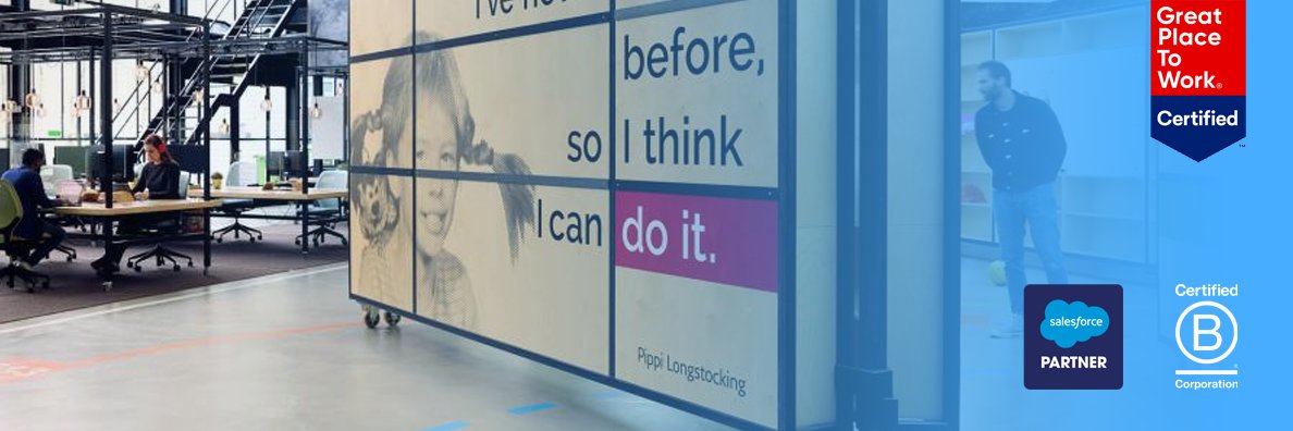 Nextview Consulting banner