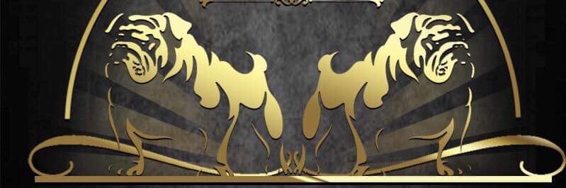 NOBLEAKS's profile banner image