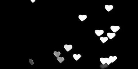 Mitchelo_B's profile banner image
