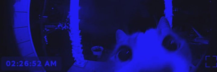 drowsyego's profile banner image