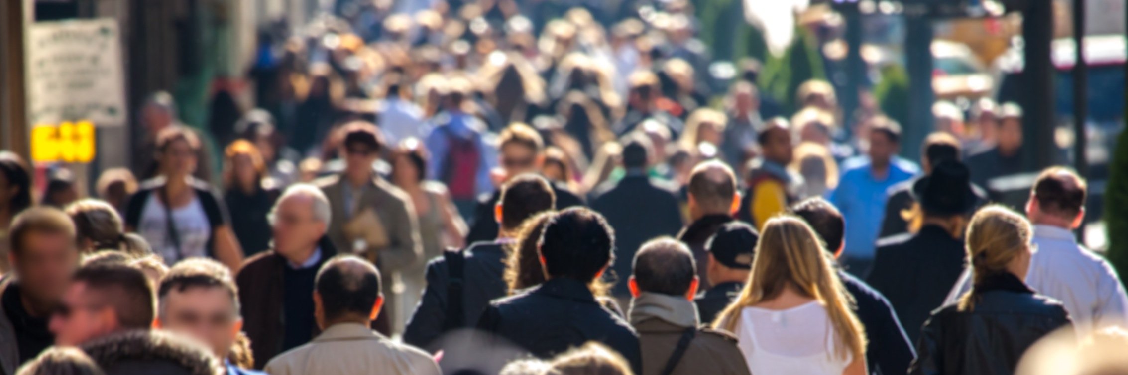 Pippa Gardner banner