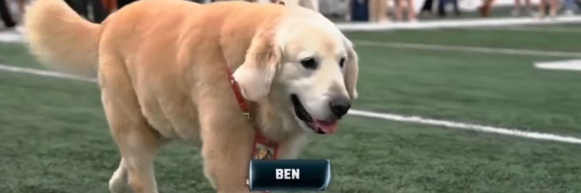 bmackdaddy's profile banner image