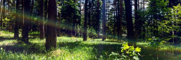 IRMercer Profile Banner