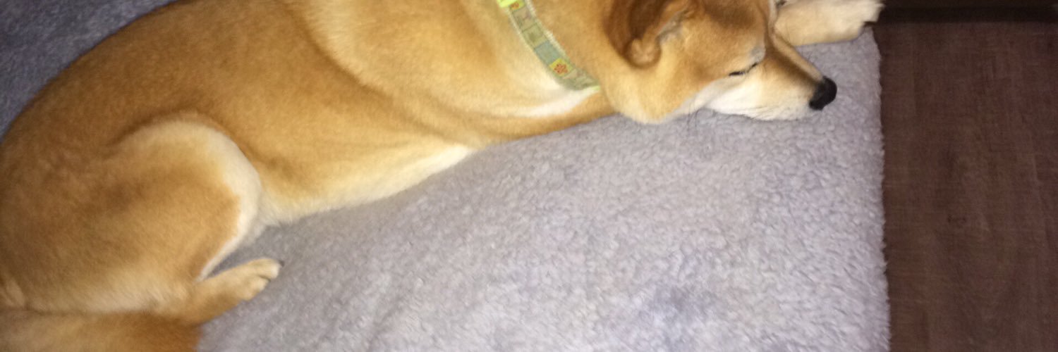Sharon2shibas's profile banner image