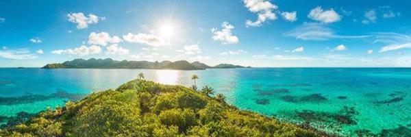 GreenMoonFest Profile Banner