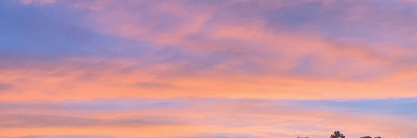 LeahSwann's profile banner image