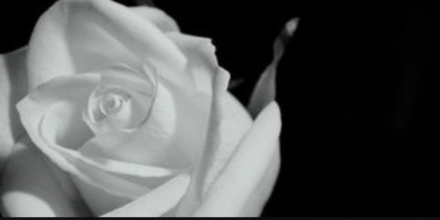 BrenVee's profile banner image