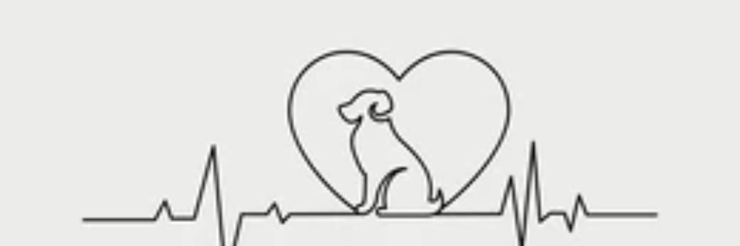 paws2live's profile banner image