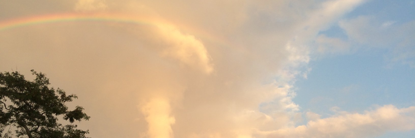 RT_Thomson's profile banner image