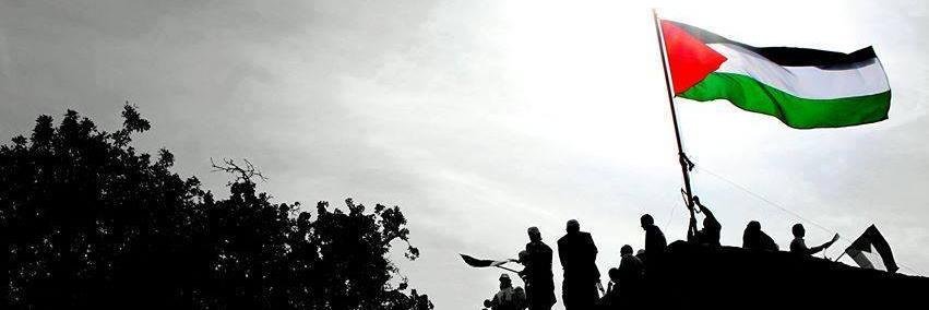 Doaadagga's profile banner image