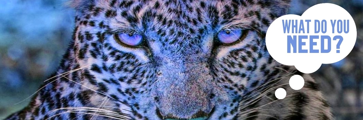 johnfwhiteco's profile banner image