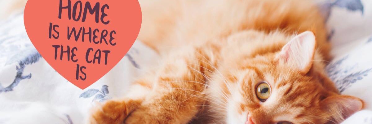 Sarah Champion banner