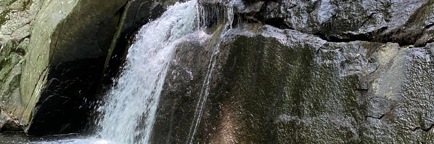 nicelolaxea's profile banner image