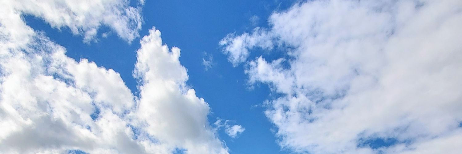 CynthiaHarde's profile banner image