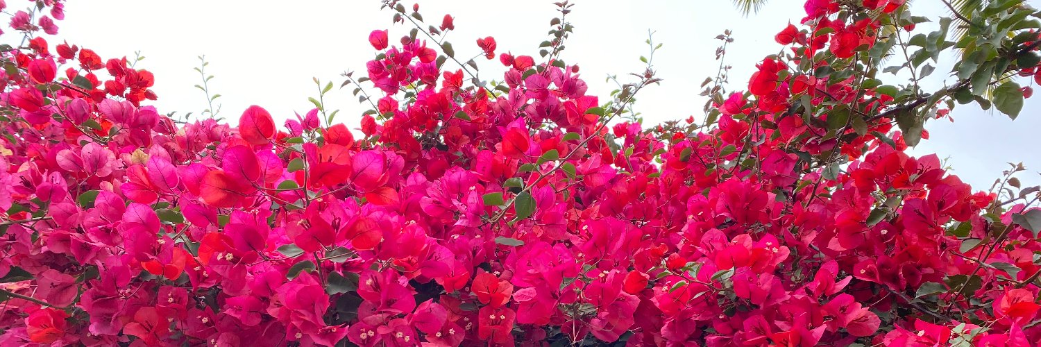 TeddyG_TG's profile banner image