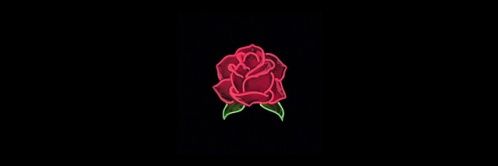 ohnobryony's profile banner image