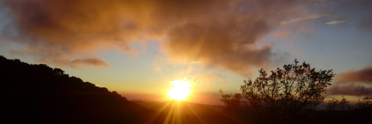 SteffSacs's profile banner image