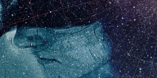 Bidzilla ۞🪳 banner