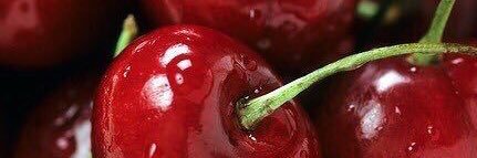 VanessaaMarie__'s profile banner image