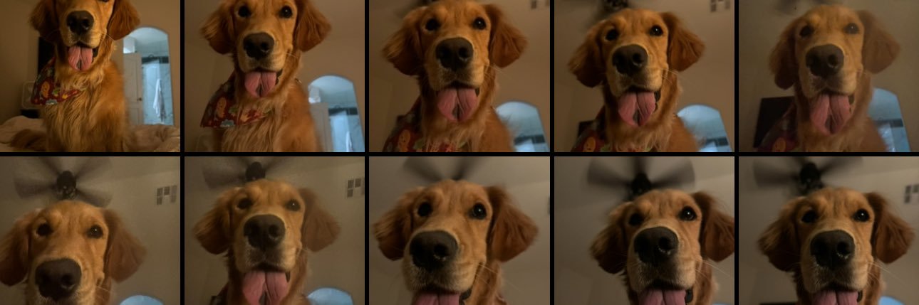 _maddieB____'s profile banner image