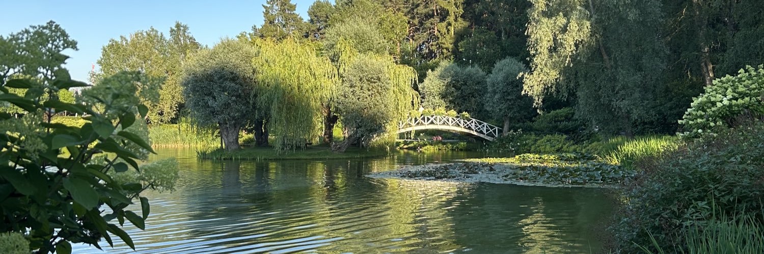 Annelie Widholm 🇵🇸🌻🏳️‍🌈 banner