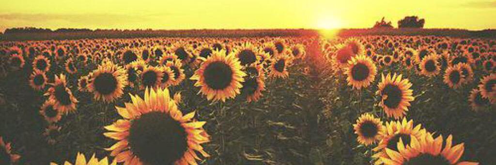 janinem15's profile banner image