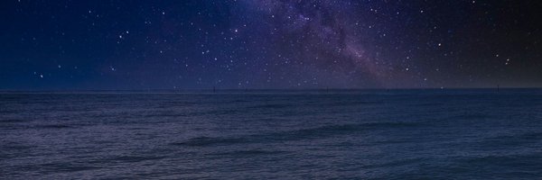 octopus_teacher Profile Banner