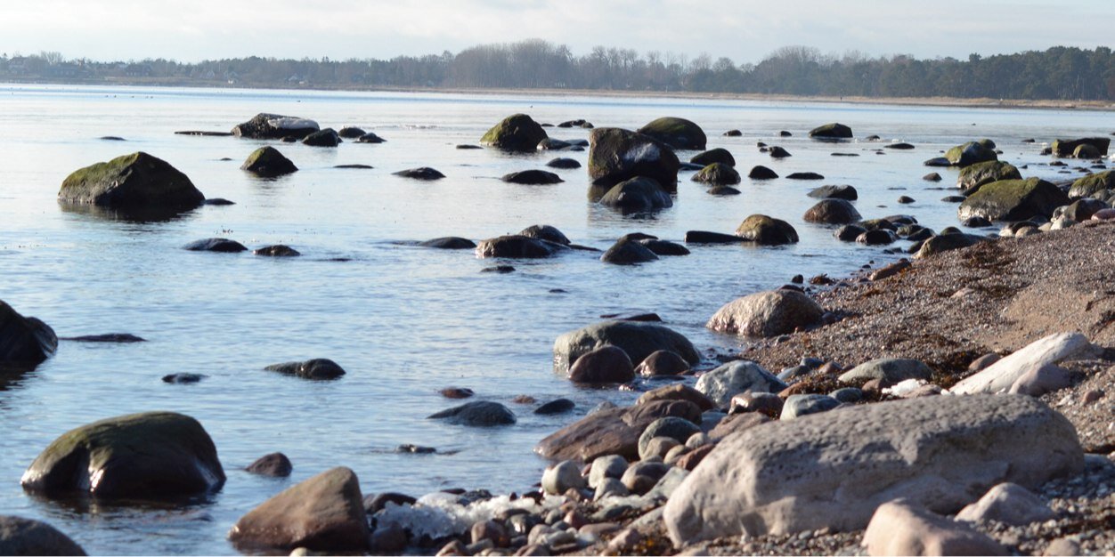 RHallbom's profile banner image