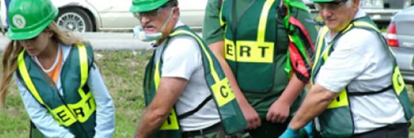 Hamilton Co IN CERT banner