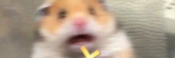 francissj_'s profile banner image