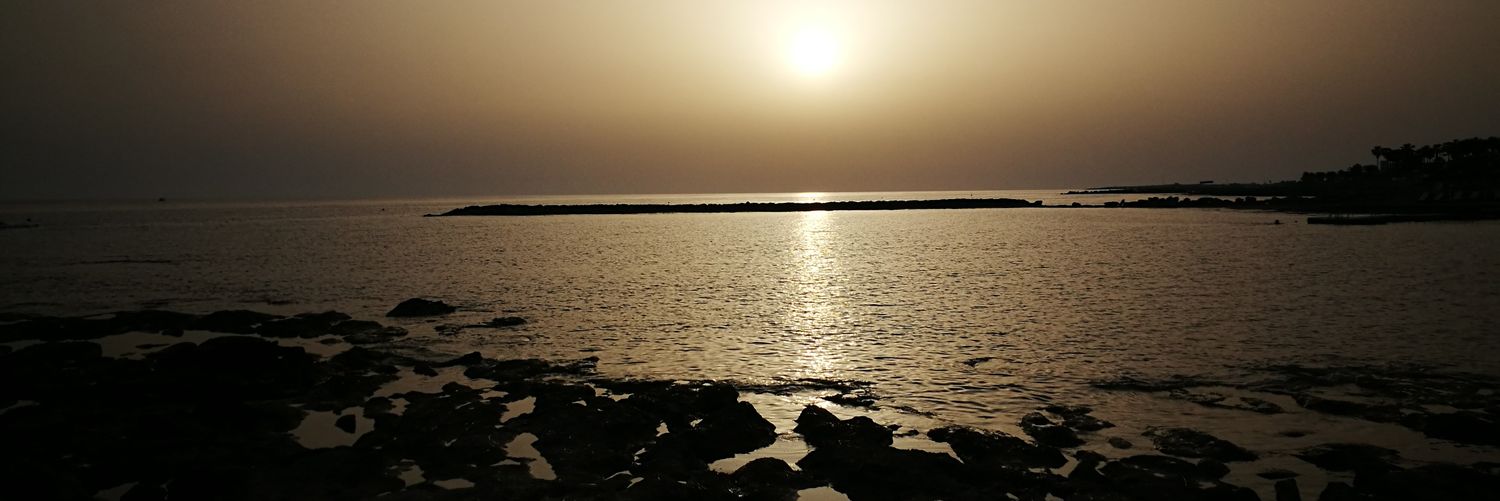nicholsonurz's profile banner image