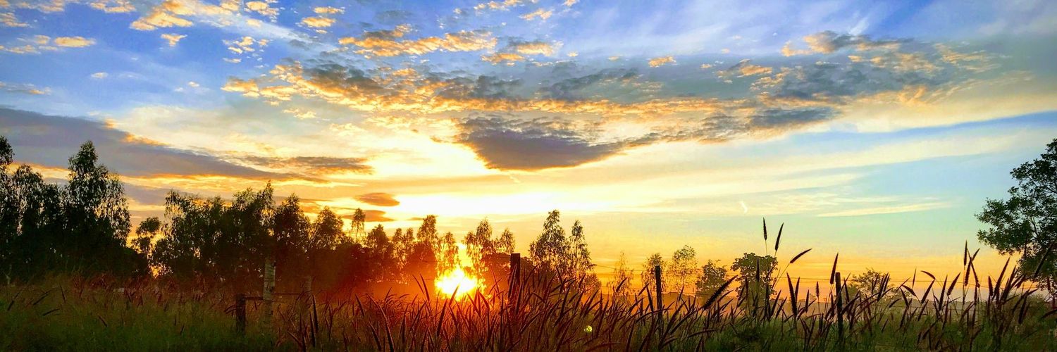 🇧🇷 Fernando Fernandes 🇧🇷 banner