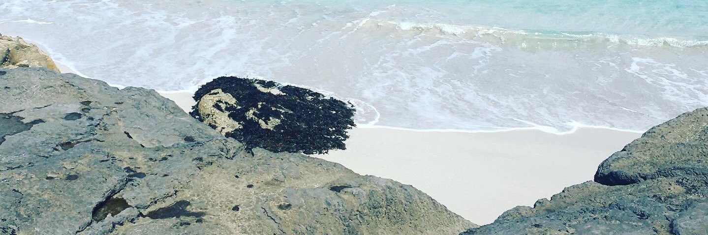 justdonewitthis's profile banner image