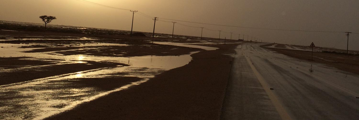 badr1_20's profile banner image