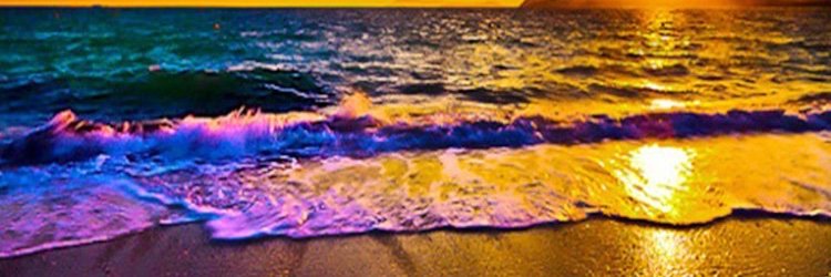 almcgui's profile banner image