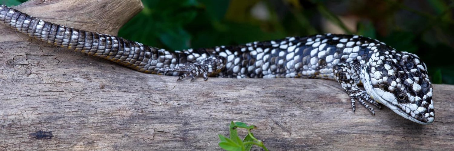 Maddie Smith 🌔🌿✨ banner