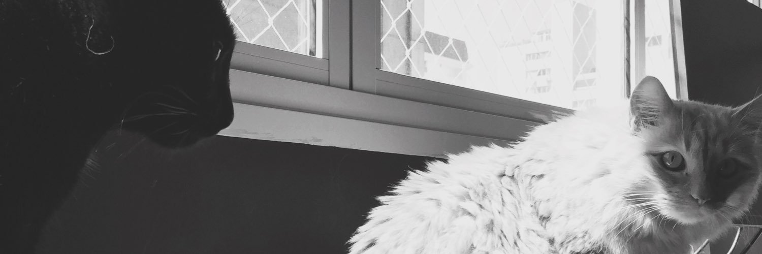 jonesgiovanella's profile banner image