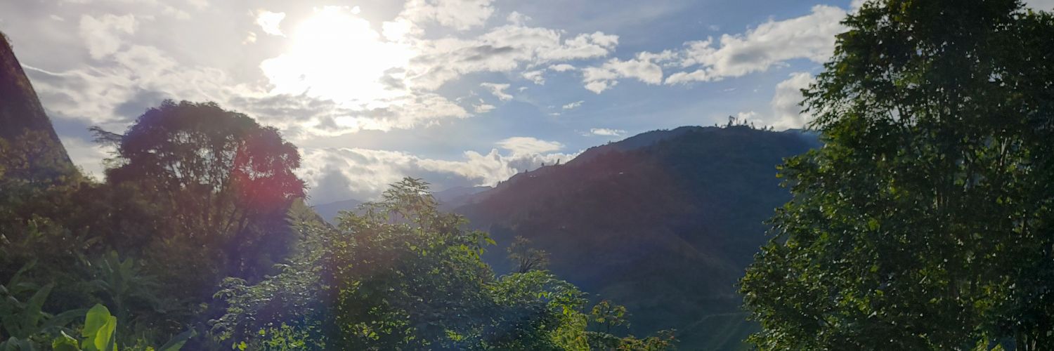 Jacob Westt banner