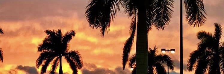 BeccaSamson's profile banner image