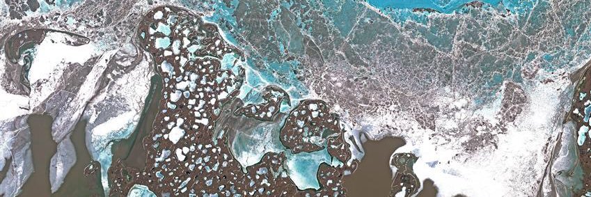 Taryn Tomlinson banner