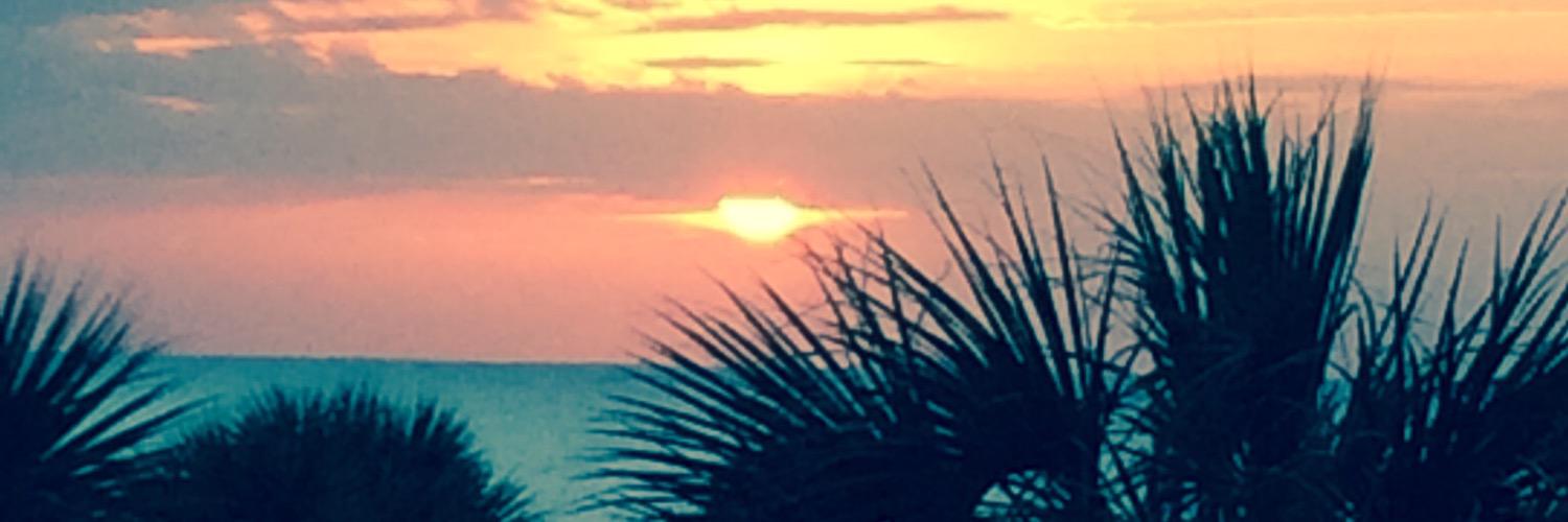 HaasgHaas's profile banner image