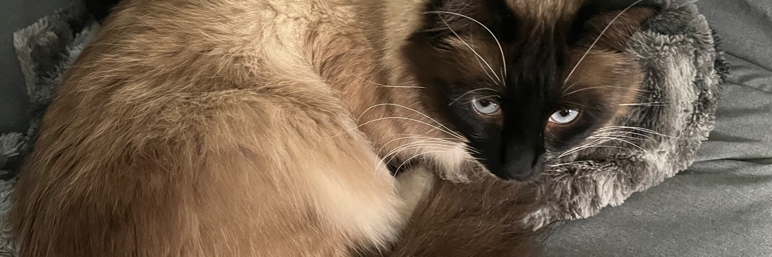wefoundjxn's profile banner image