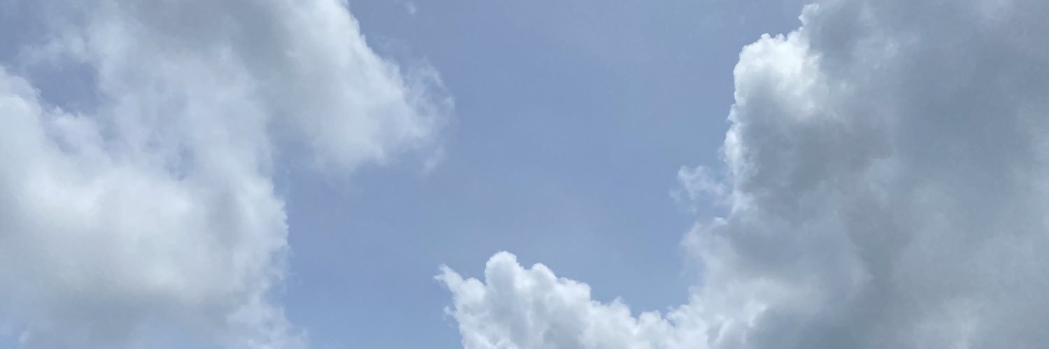 varshadaswani's profile banner image