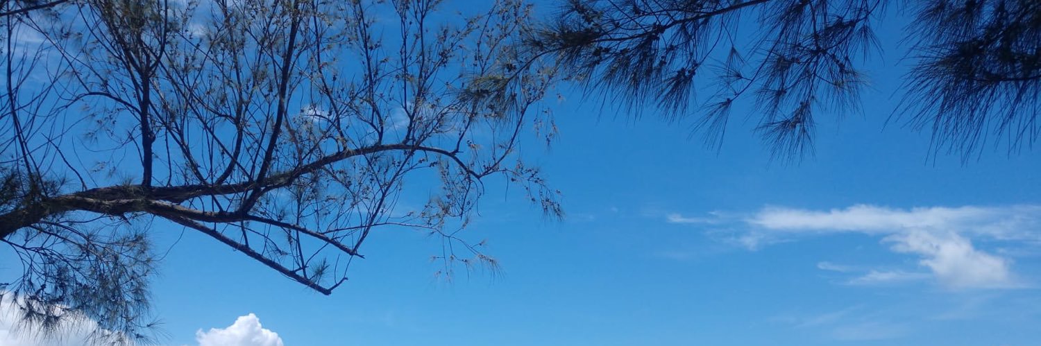 Claudio Seabra banner