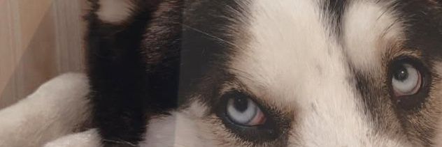 SandyyGar's profile banner image